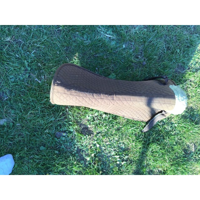 Amortisseur équithème