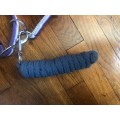 Licol violet avec longe