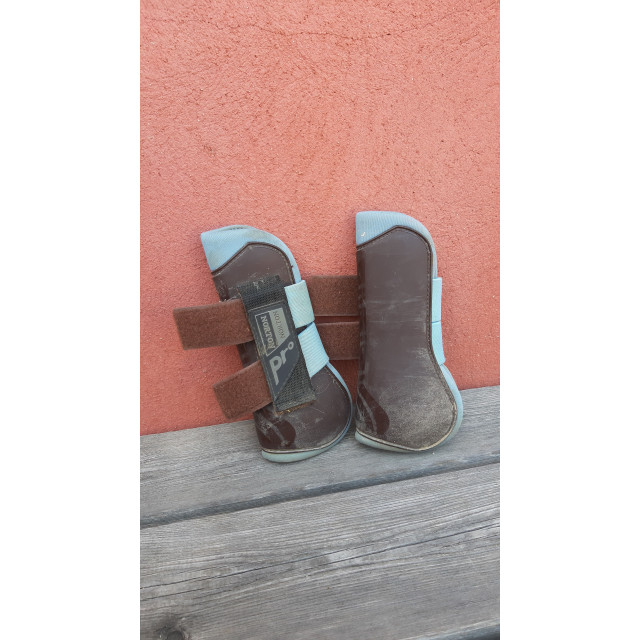 Guetres + protèges boulets