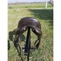 Selle de dressage