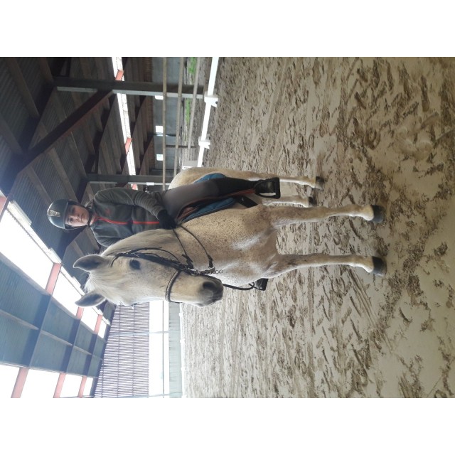 Mors de bride 125 mm