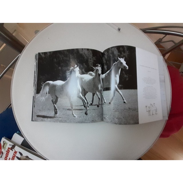 Chevaux