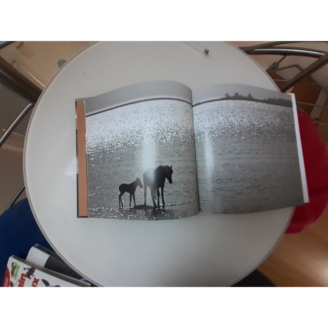 Chevaux