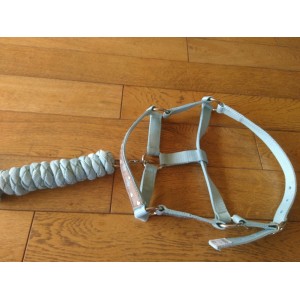 licol + longe bleu ciel fouganza taille shetland