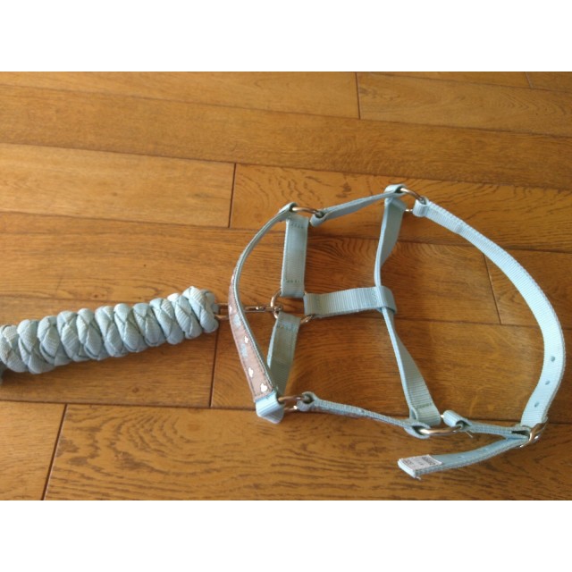 licol + longe bleu ciel fouganza taille shetland