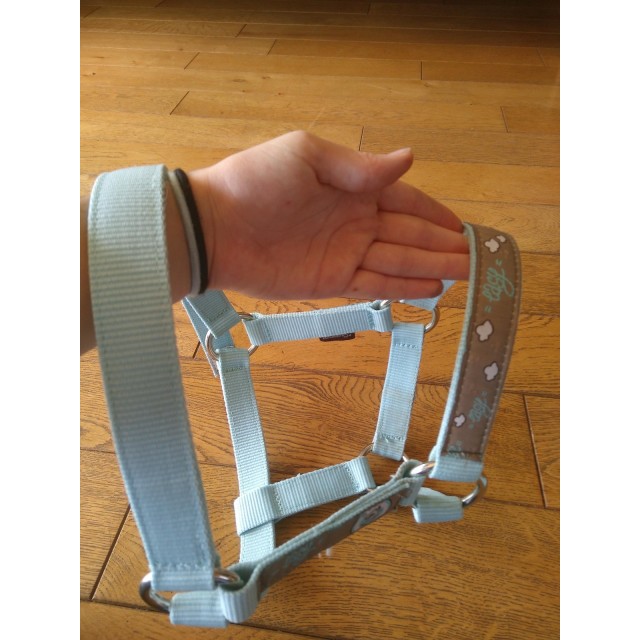 licol + longe bleu ciel fouganza taille shetland