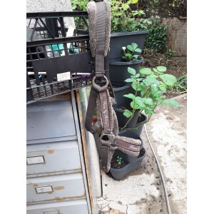 Licol fouganza marron+ longe marron et blanche fouganza.