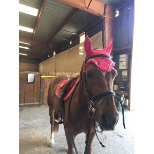 Ensemble rose equi-thème