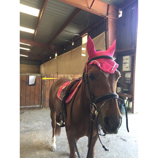 Ensemble rose equi-thème