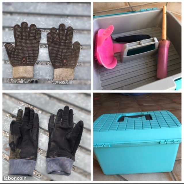 Boîte de pansage/brosses/gants