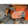 Couverture Eskadron