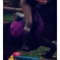 tapis violet
