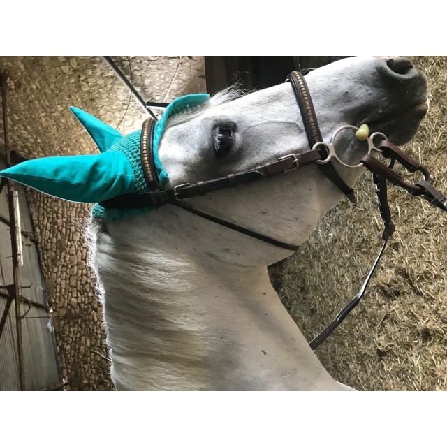 Ensemble bleu turquoise