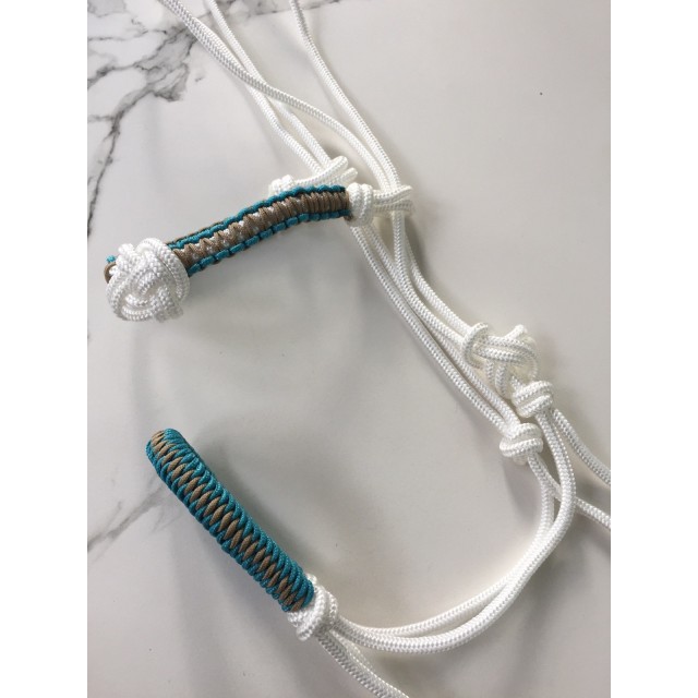 Ensemble licol etho et frontal