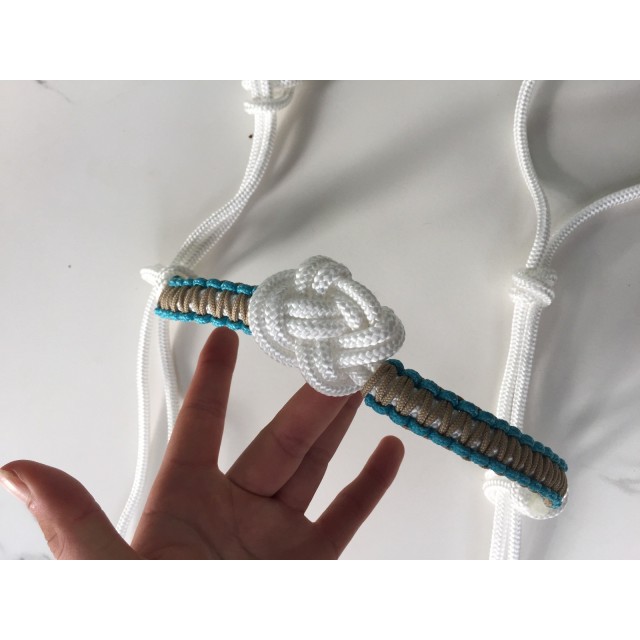 Ensemble licol etho et frontal