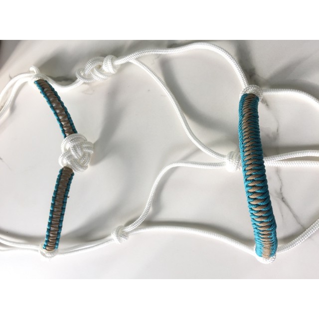 Ensemble licol etho et frontal