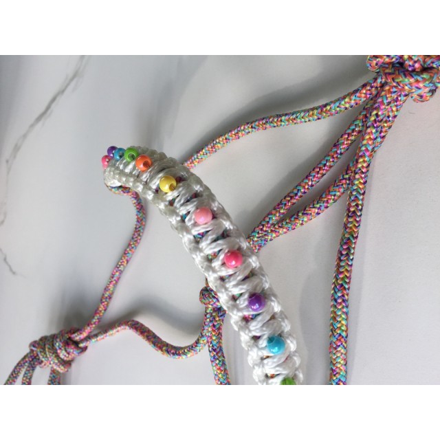 Licol éthologique multicolore