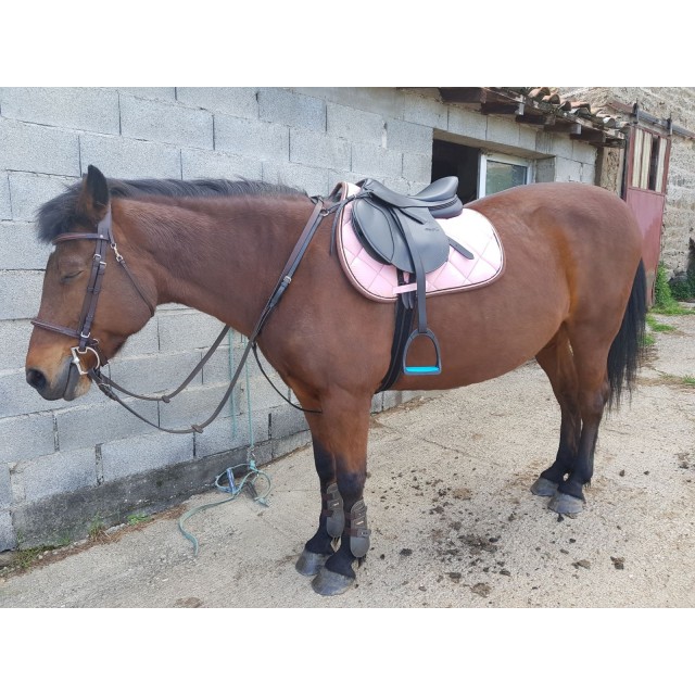 Étriers compositi bleu