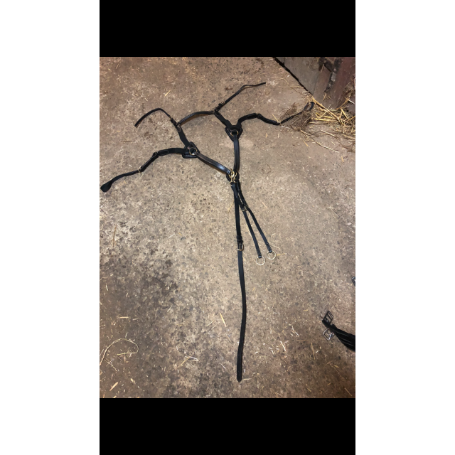 Collier de chasse 5 points Time Rider