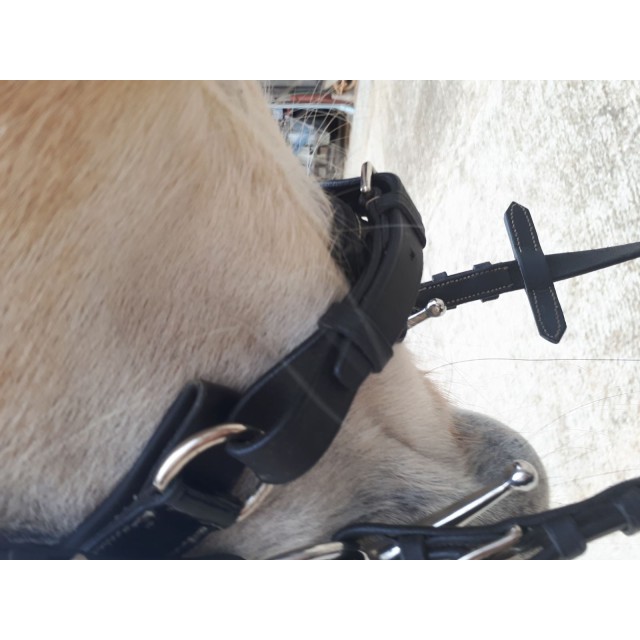 Brison privilège equitation.  VERNIS.  Poney . Noir neuf.