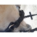 Brison privilège equitation.  VERNIS.  Poney . Noir neuf.
