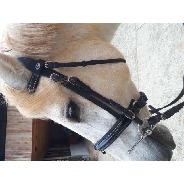 Brison privilège equitation.  VERNIS.  Poney . Noir neuf.