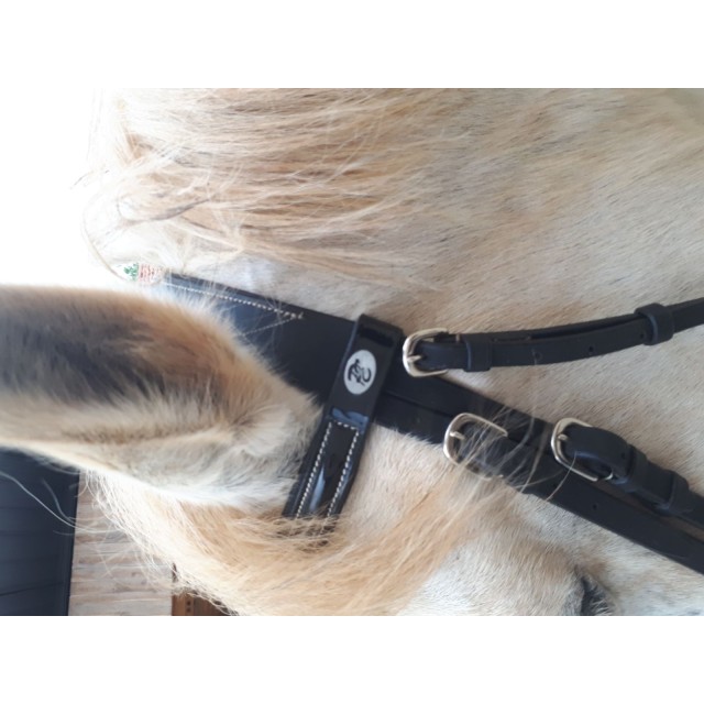 Brison privilège equitation.  VERNIS.  Poney . Noir neuf.