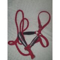LICOL + LONGE ROUGE