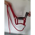 LICOL + LONGE ROUGE
