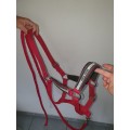 LICOL + LONGE ROUGE
