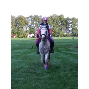 ensemble de cross rose et violet