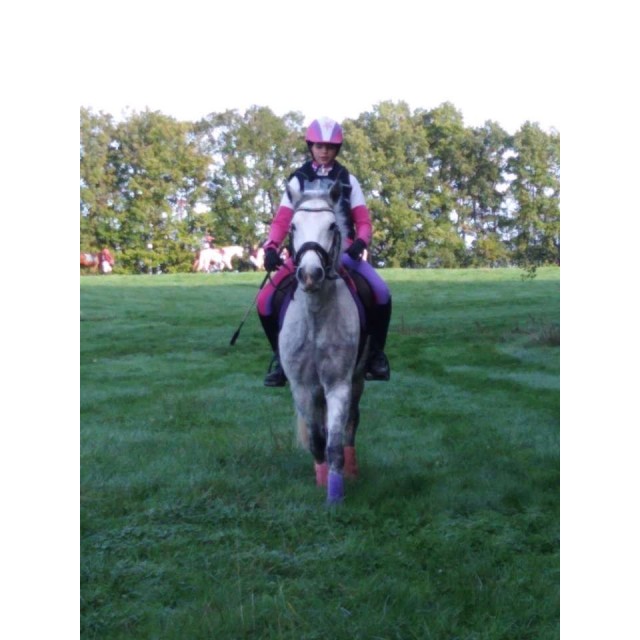 ensemble de cross rose et violet