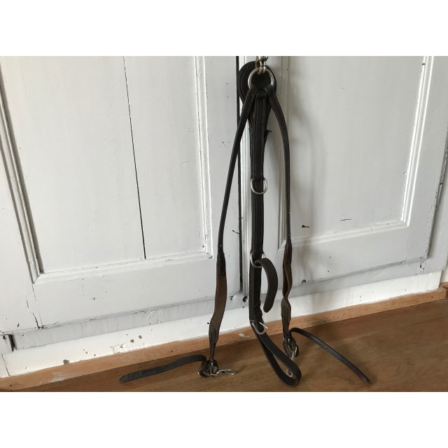 Filet et rênes Norton avec collier de chasse Éric Thomas