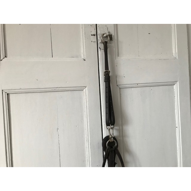 Filet et rênes Norton avec collier de chasse Éric Thomas