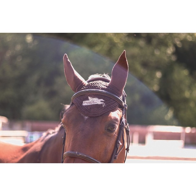 Bonnet Marron Pegaze Inssurance