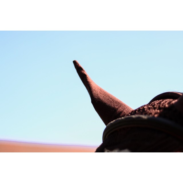 Bonnet Marron Pegaze Inssurance