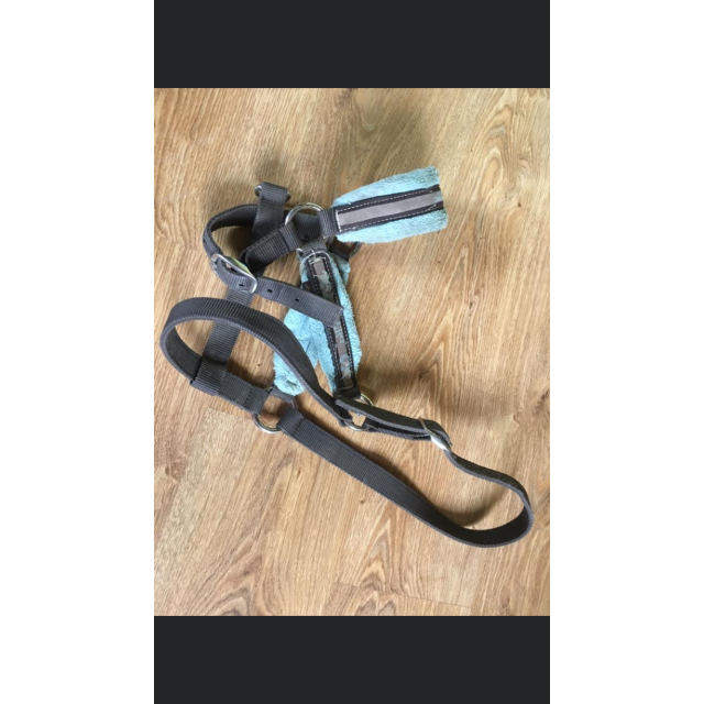 Licol taille 2 fouganza