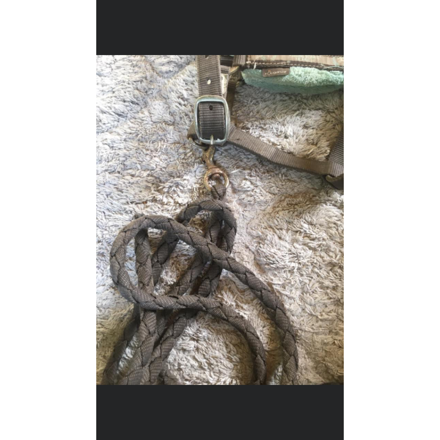 Licol taille 2 fouganza