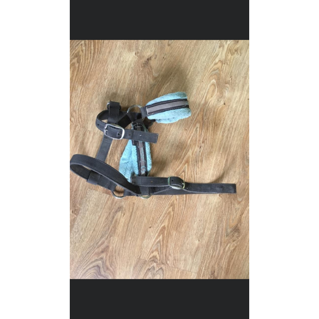 Licol taille 2 fouganza