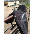 Selle dressage