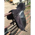 Selle dressage