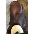Selle antares signature 17"