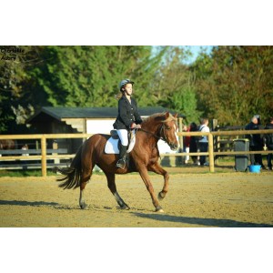 Tapis d'équitation blanc
