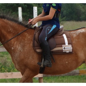 Tapis d'équitation marron équithème