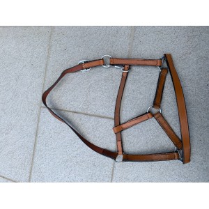 Licol petit cheval cuir