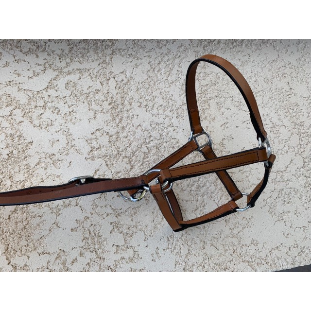Licol petit cheval cuir
