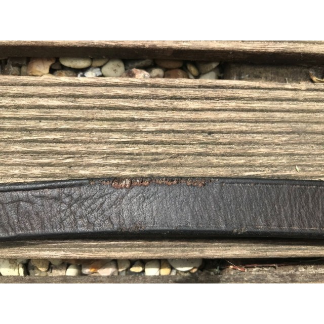 Rênes Allemandes Cheval