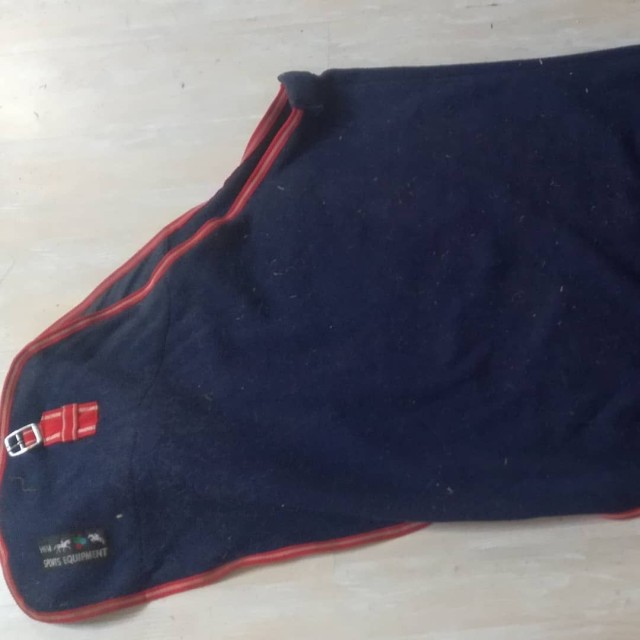 Chemise poney