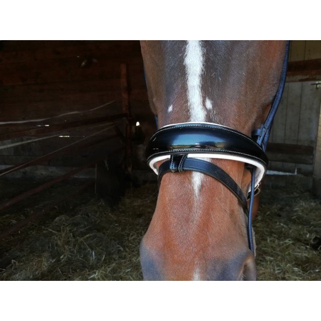 Bridon mountain horse