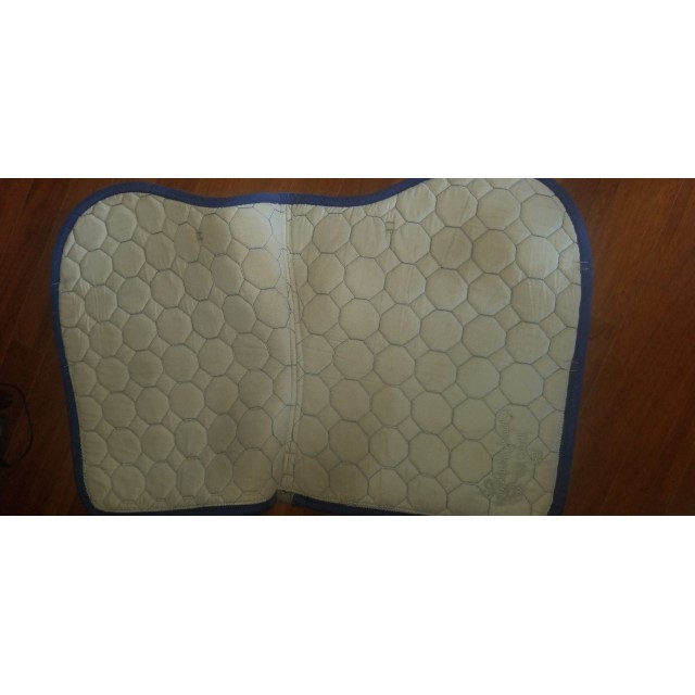 Tapis bleu roi